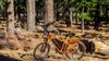 How E-Bikes Help Our Planet | KBO Bike