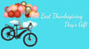 The Best Thanksgiving Day Gift | KBO Bike