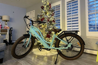 Best Christmas Gift Ideas for Riders