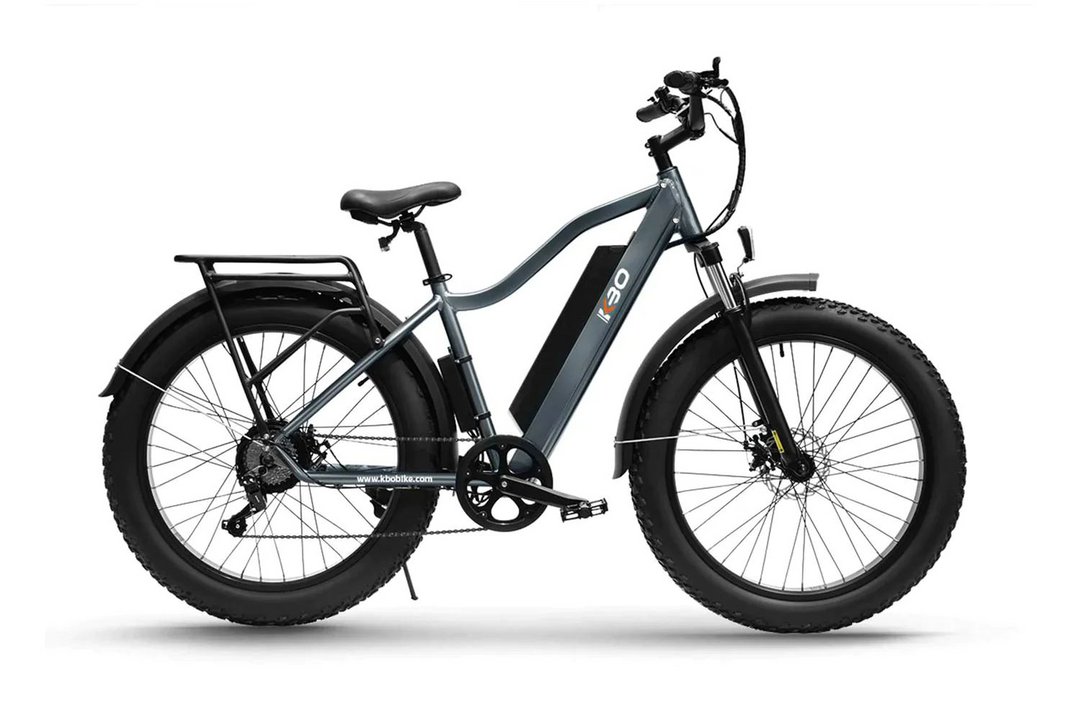 Electric Bike sold