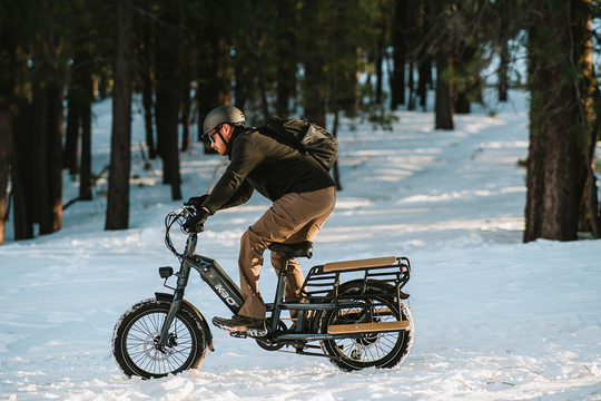 KBO Ranger Cargo EBike for Carrying Heavy Loads, Family Riding